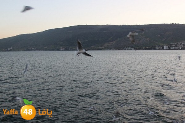 byareg 0226 (96).JPG